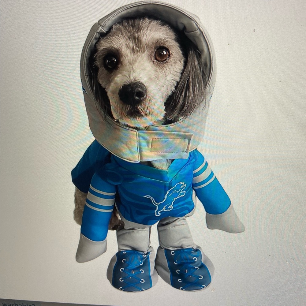 Detroit Lions NFL Blue & Gray Dog football uniform, MEDIUM, *out of stock online